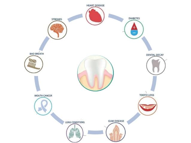 teeth heart 4-638