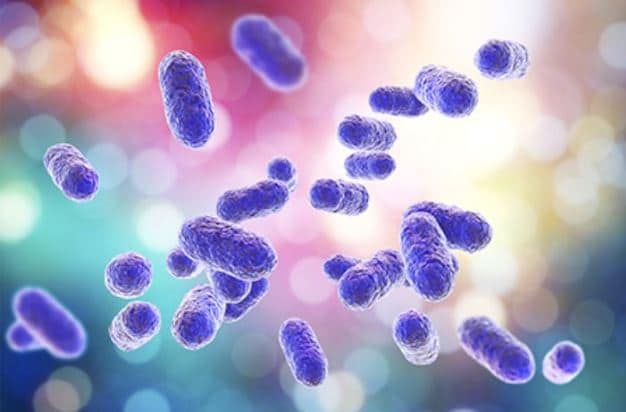 Perio Disease